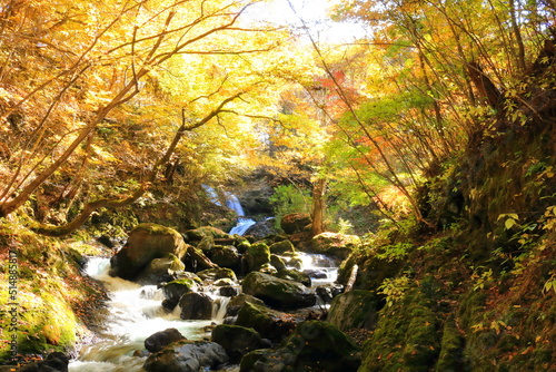 美しい日本の秋桂川の渓流