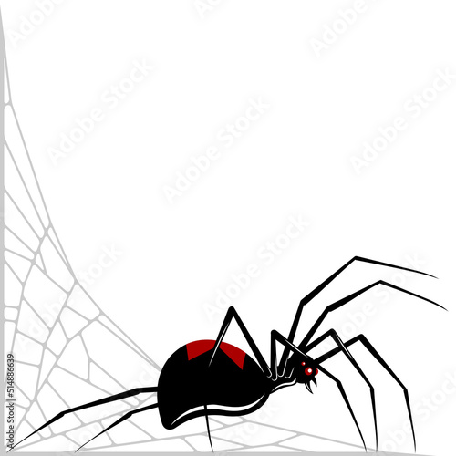 Fototapete Black Widow Spider Vector Design, Spider Latrodectus mactans, arachnid with cobw