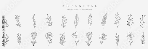 Fotografija Set botanical hand drawn vector element