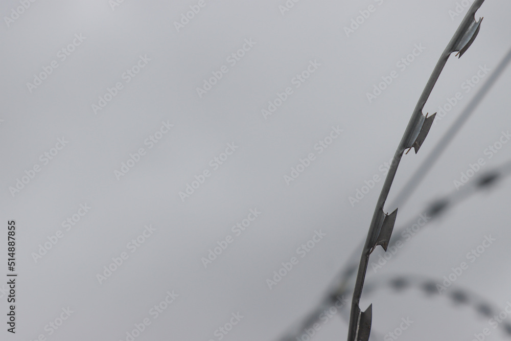 Metal barbed wire. Metal barbed wire.