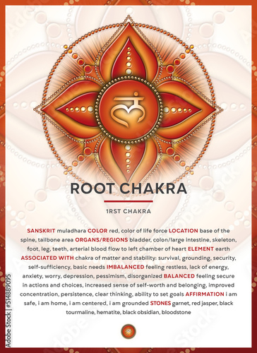ROOT CHAKRA (Muladhara): Chakra symbol infographic with detailed description & characteristics photo