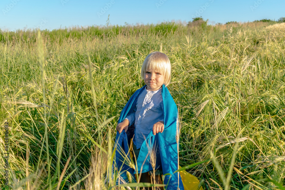 Cute little child kid boy holding,carrying ukrainian national blue yellow flag in wheat field.war,military invasion between Russia and Ukraine.Ukraines Independence,Flag,Constitution,Kiev day Cute little child kid boy holding,carrying ukrainian national blue yellow flag in wheat field.war,military invasion between Russia and Ukraine.Ukraines Independence,Flag,Constitution,Kiev day