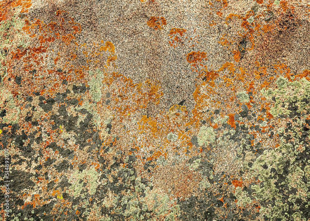 texture of an old stone in the Petroglyph Park in Kyrgyzstan texture of an old stone in the Petroglyph Park in Kyrgyzstan