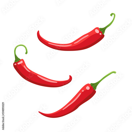 Three spice chili pepper vector colored illustration