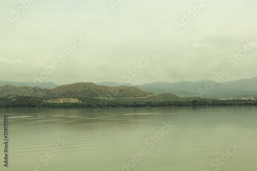 scenic view with lake near green forest photo