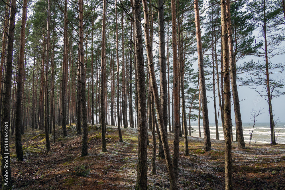 Gulf of Riga, Baltic sea in winter time.