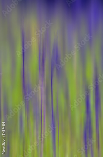 Motion blur image of some purple flowers in a grass field. Gives a colourful yet abstract image.