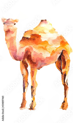 Aquarell mit stehendem Kamel vor weißem Hintergrund. Skalierbarer Vektor in Low Poly Art. 