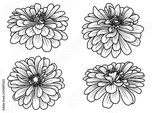 Flower Hand drawn sketch line art illustration