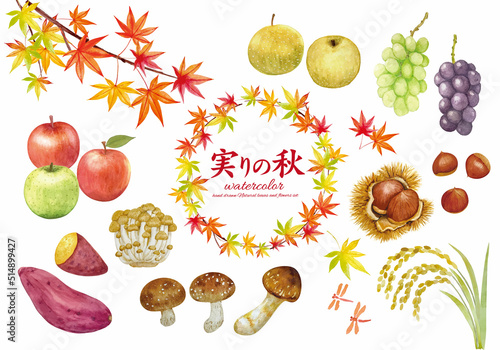 水彩で描いた実りの秋の手書き素材セット