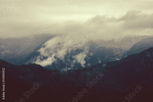 Forest on hills and mountains in clouds and fog