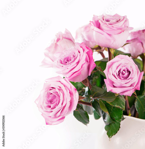 Flowers with clipping path  side view. Beautiful pink roses on stem with leaves isolated on white background. Natur object for design to Valentines Day  mothers day  anniversary