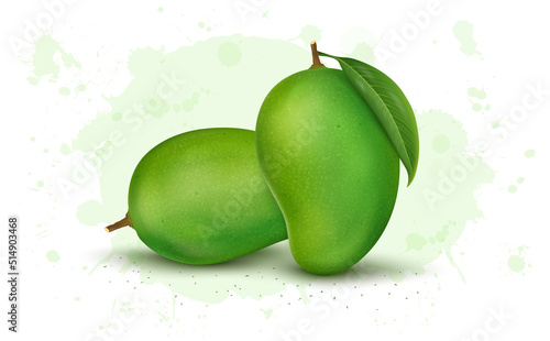 Fresh Green Mangoes vector illustration isolated on white background