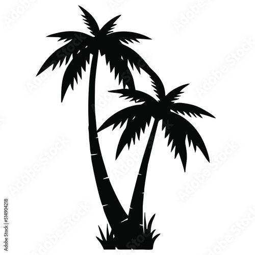 palm tree silhouette