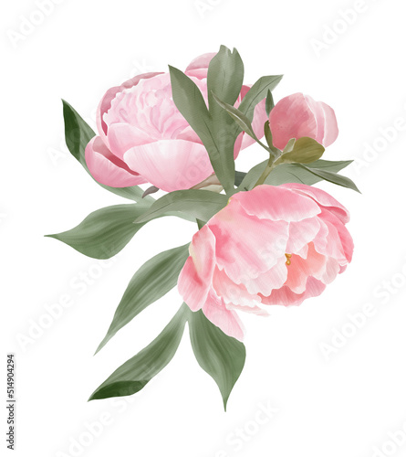 Watercolor pink peony bouquets  pink flowers composition  corner  border for wedding design  logo  template  etc.