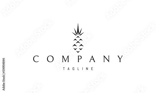 Vector logo on which an abstract image of a pineapple in a minimalist style.