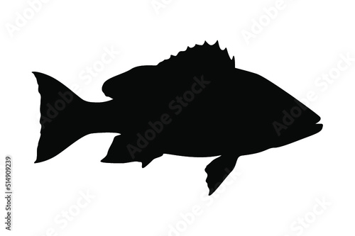 sea ​​fish silhouette vector