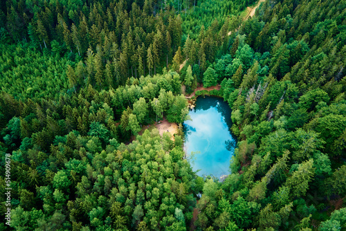 Fototapeta Naklejka Na Ścianę i Meble -  Blue lake in the middle of green forest, aerial view. Wild colorful lake in mountain park in Poland. Beautiful nature landscape