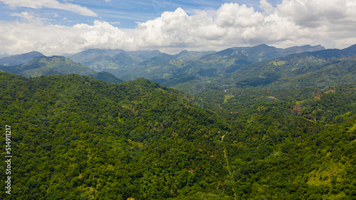 Tropical green forest and jungle on the slopes of the mountains of Sri Lanka.