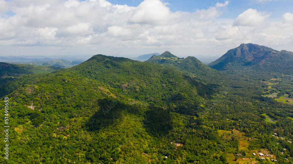 Fototapeta premium Mountains covered rainforest, trees and blue sky with clouds. Sri Lanka.