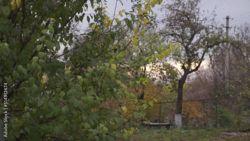 Autumn nature landscape. Autumn in the village. High quality FullHD footage