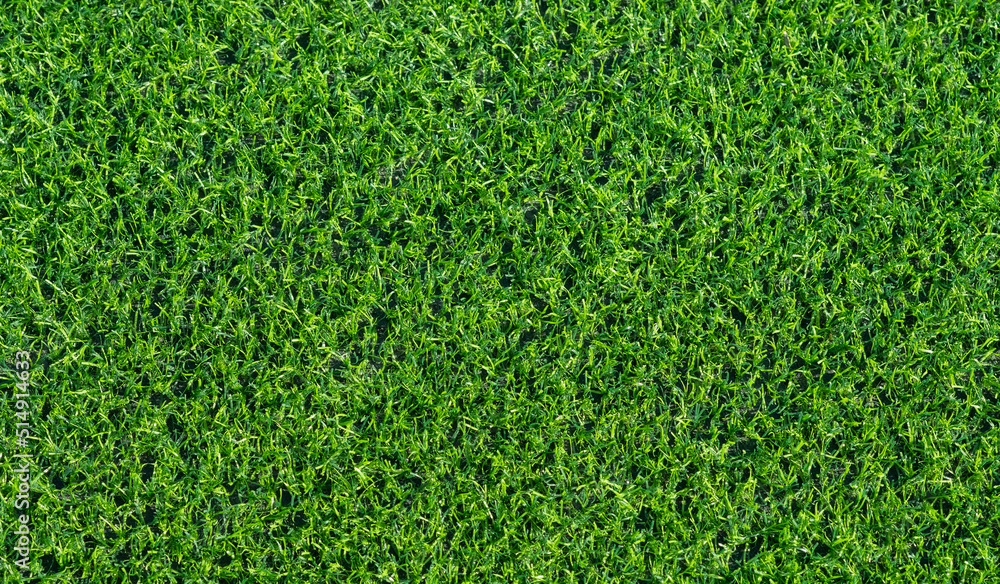 Obraz premium Green grass background, football field 