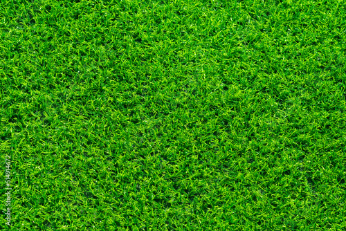 Green grass background, football field 