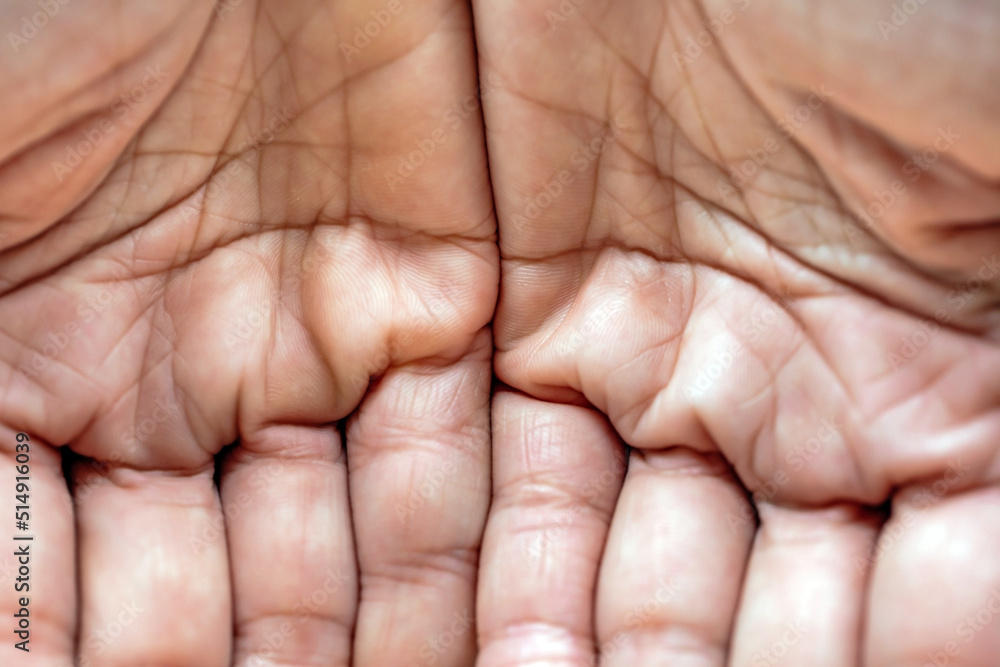 The finger print indicates the identity of the individual and is also used to represent the destiny of the finger print owner. The finger print indicates the identity of the individual and is also used to represent the destiny of the finger print owner.