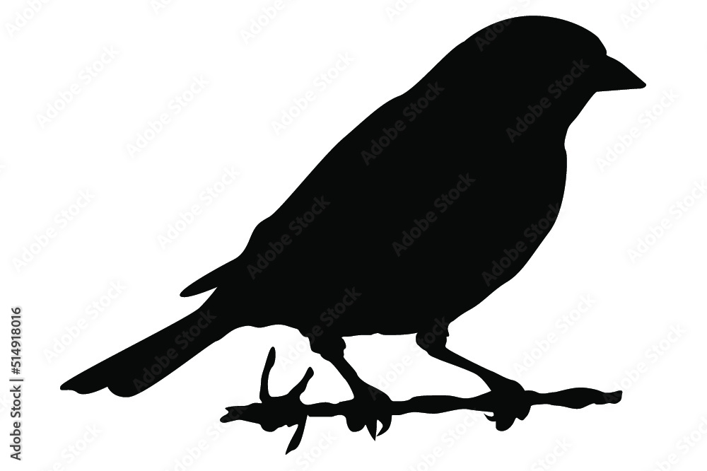 perching bird silhouette vector perching bird silhouette vector