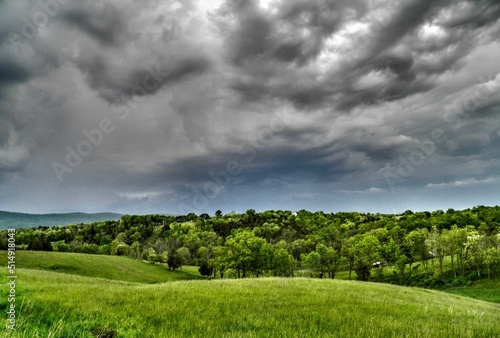 Summer Storm