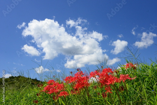 初秋の空