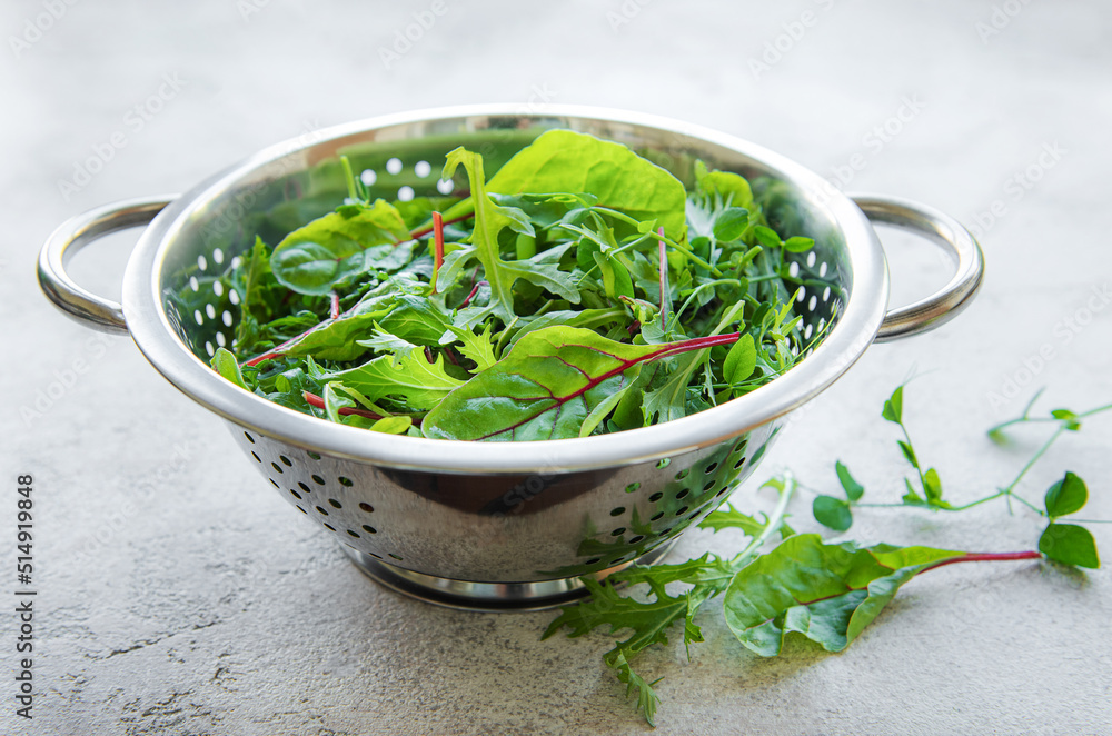Mix of fresh green salad leaves with arugula and beets Mix of fresh green salad leaves with arugula and beets