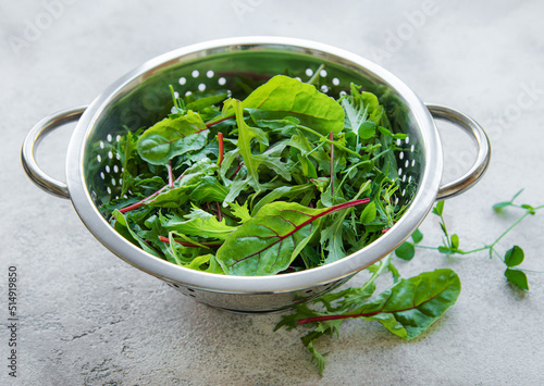 Mix of fresh green salad leaves with arugula and beets