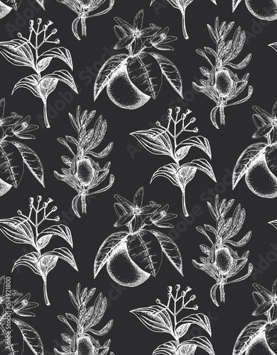 Wallpaper with botanical drawings. Herbs in vector