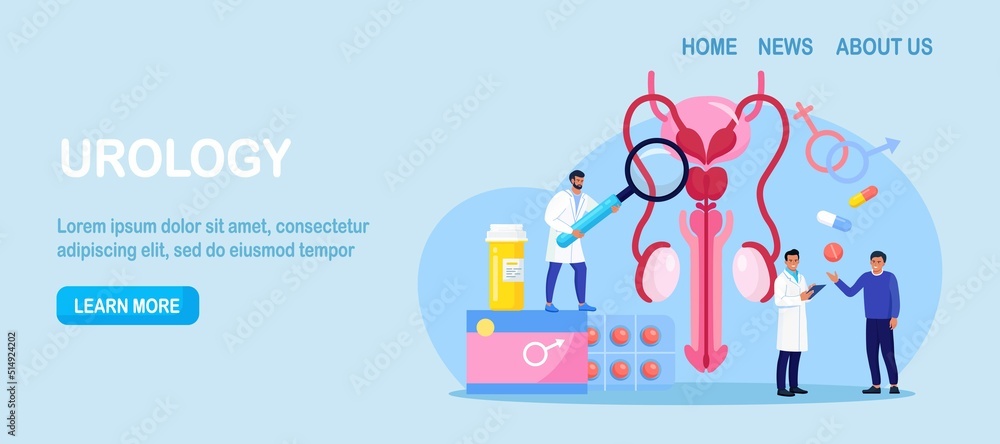Fototapeta premium Urology concept. Urologist examining male reproductive system. Kidney and bladder treatment, hospital care. Doctors diagnosis sexually transmitted, venereal diseases. Bacterial infection