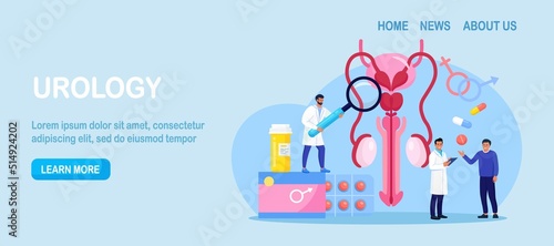 Urology concept. Urologist examining male reproductive system. Kidney and bladder treatment, hospital care. Doctors diagnosis sexually transmitted, venereal diseases. Bacterial infection