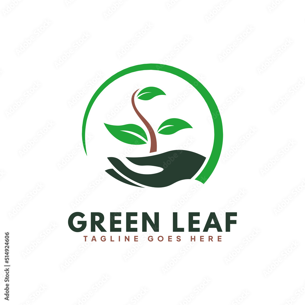 Green Leaf Organic Botanical Logo Vector, Growing Sprouts In Hand With Curly Shape For Green Farming Botany. Green Leaf Organic Botanical Logo Vector, Growing Sprouts In Hand With Curly Shape For Green Farming Botany.
