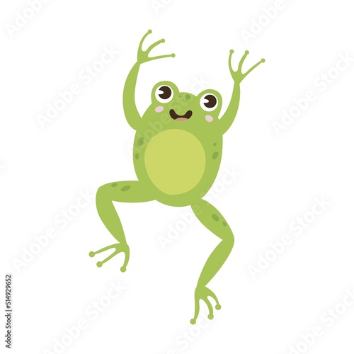 Frog cartoon character illustration. Green toads jumping, sitting in pond with lotus, catching dragonflies isolated on white