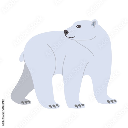 Polar bear. Cute arctic animal cartoon character vector illustration. Polar bear  penguin  seal  hare  owl  killer whale  fauna of North Pole isolated on white