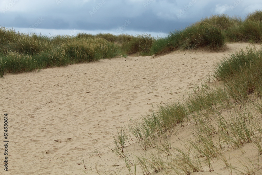 A beautiful landscape shot of the famous sand dunes at Formby Beach in Liverpool, Merseyside. This beach is located close to the Pine Woods, home to much wildlife.