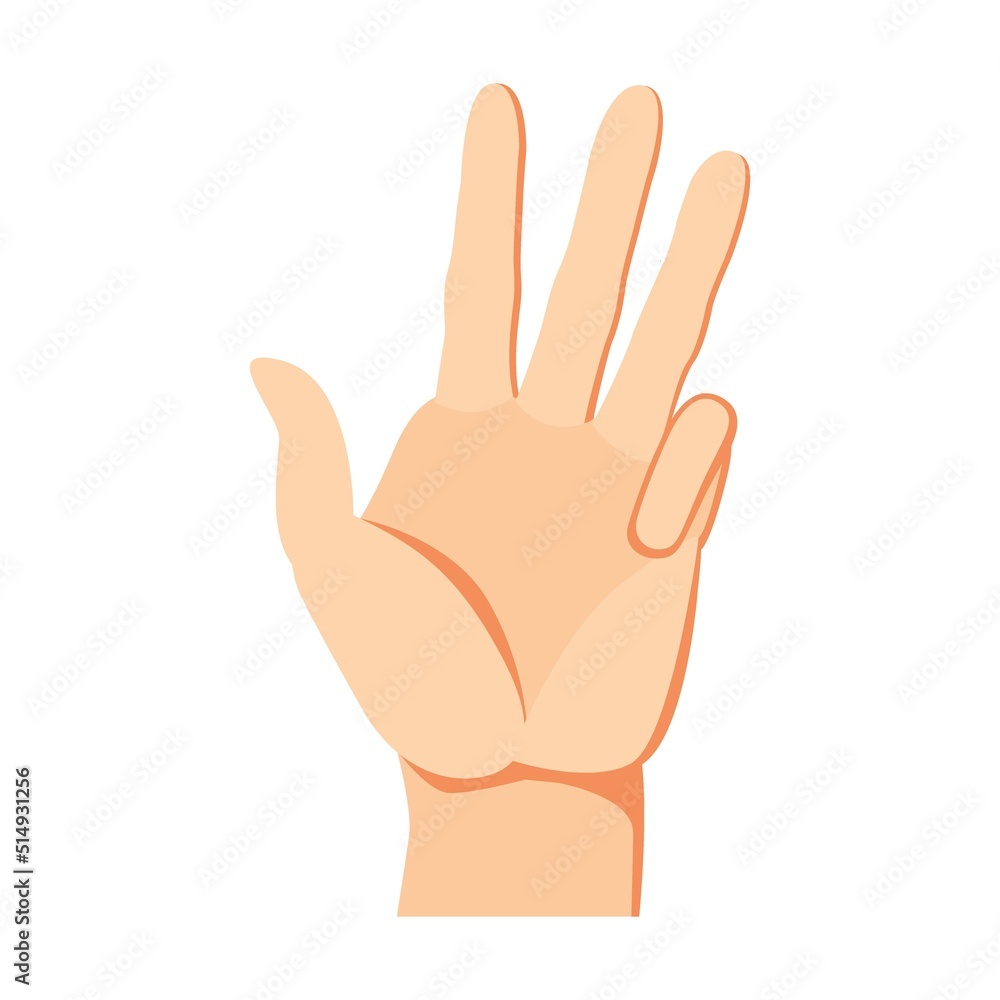 Human hand four fingers up gesture. Arm and wrists, amount signs, open palm, pointing with finger, greeting, fist. Vector illustration for communication, signals Human hand four fingers up gesture. Arm and wrists, amount signs, open palm, pointing with finger, greeting, fist. Vector illustration for communication, signals