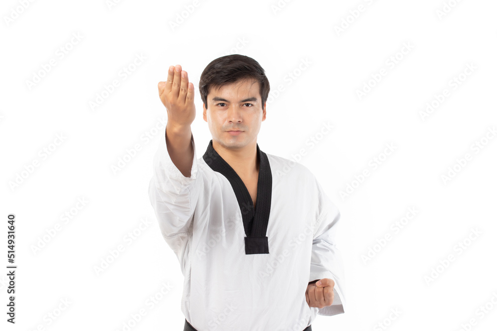 Professional fighter, Karate man in kimono exercising combat sport isolated on white background Professional fighter, Karate man in kimono exercising combat sport isolated on white background