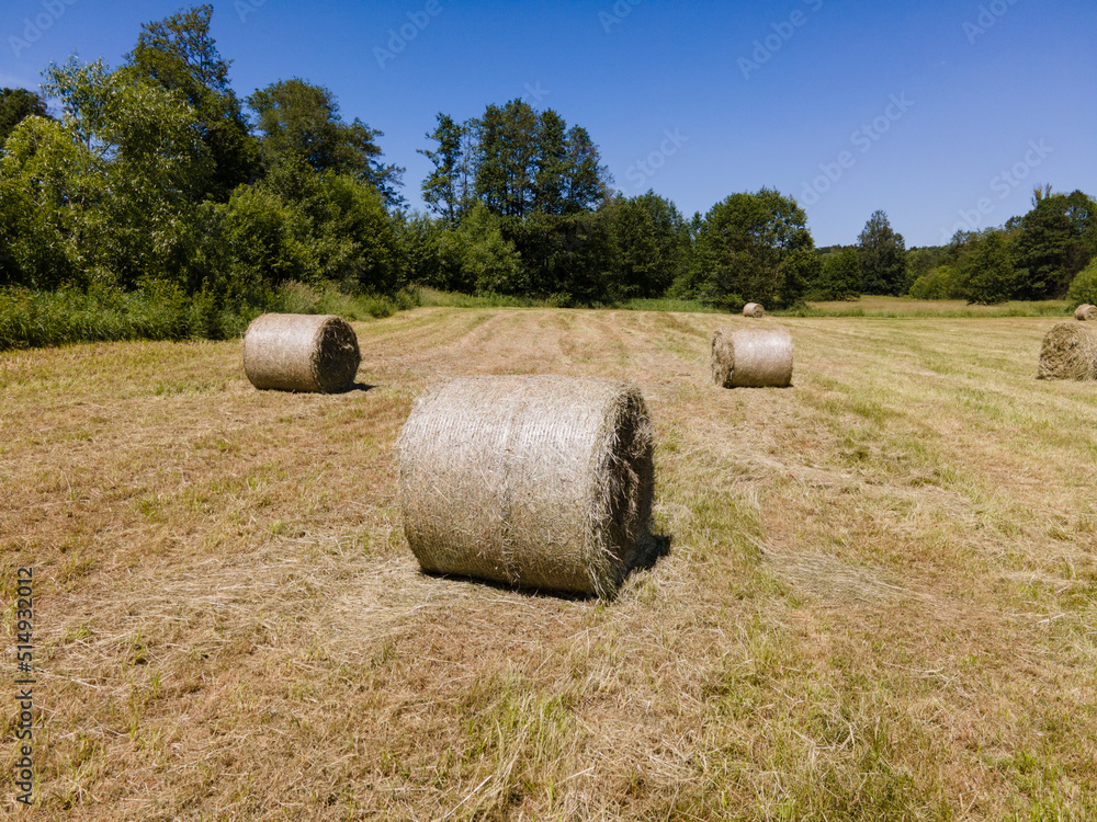 Many bales of hay on the field