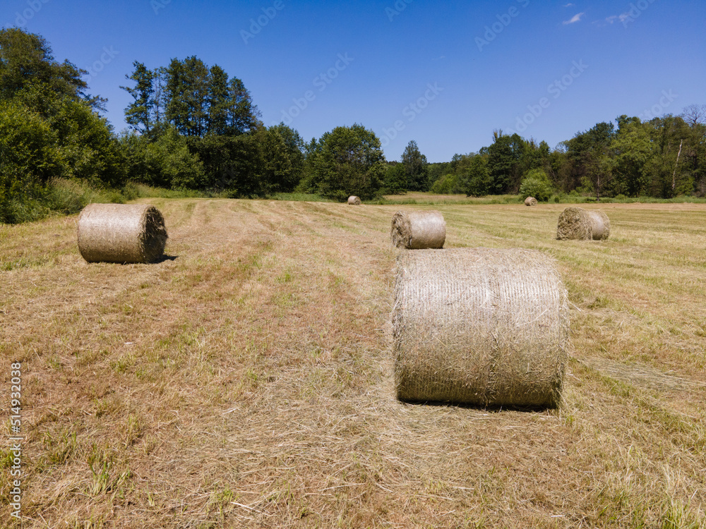 Many bales of hay on the field