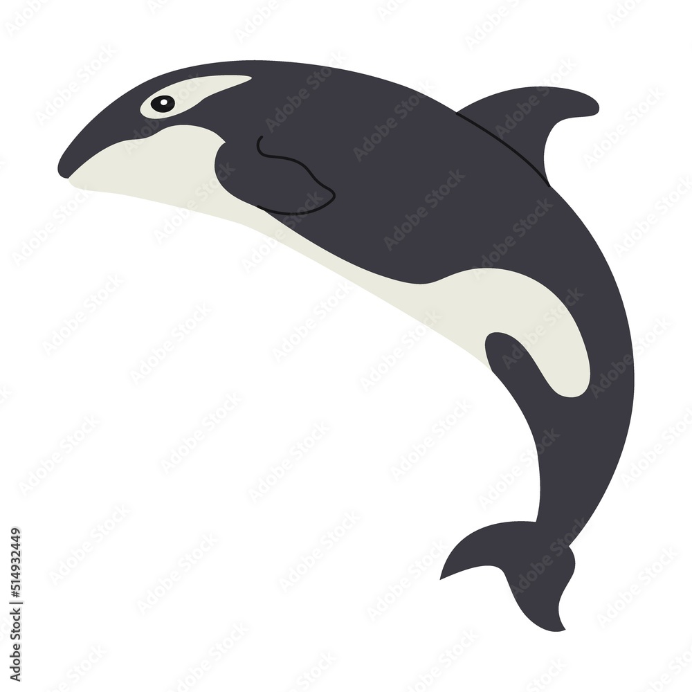 Fototapeta premium Spotted killer whale. Cute arctic animal cartoon character vector illustration. Polar bear, penguin, seal, hare, owl, killer whale, fauna of North Pole isolated on white