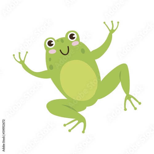 Cute frog cartoon character vector illustration. Green toad jumping and catching dragonflies isolated on white