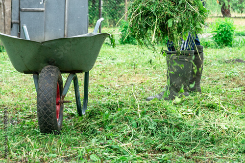 A man loads mowed grass into a cart and puts things in order in the garden