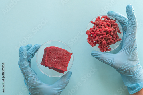 Εκτύπωση καμβά Lab grown meat concept - meat in petri dish