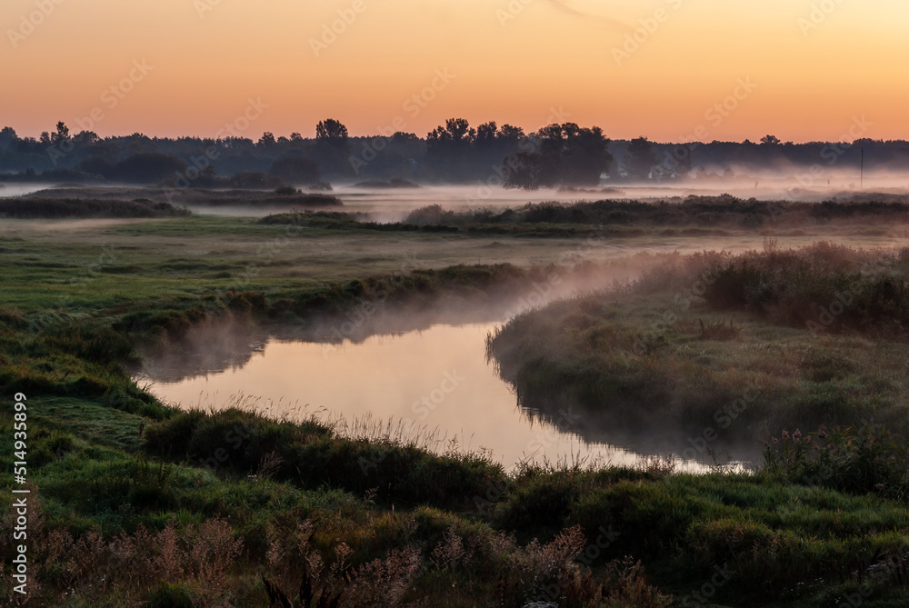 Fototapeta premium Letni poranek z mgłami w Dolinie Narwi, Podlasie, Polska