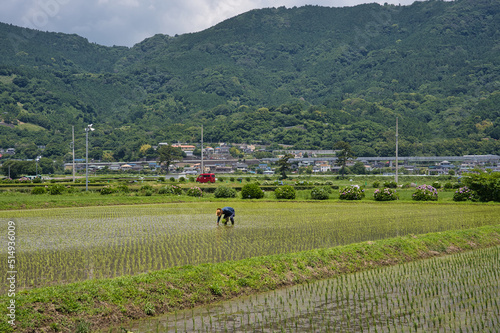 田植,自然, 風景, 山, 道, 空, 